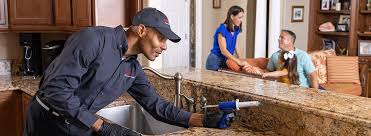 Professional Pest control in Green Valley, AZ